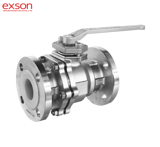 SS ball valves